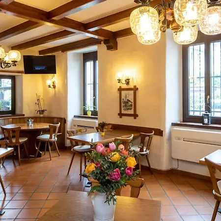 San Giorgio Hotel Losone